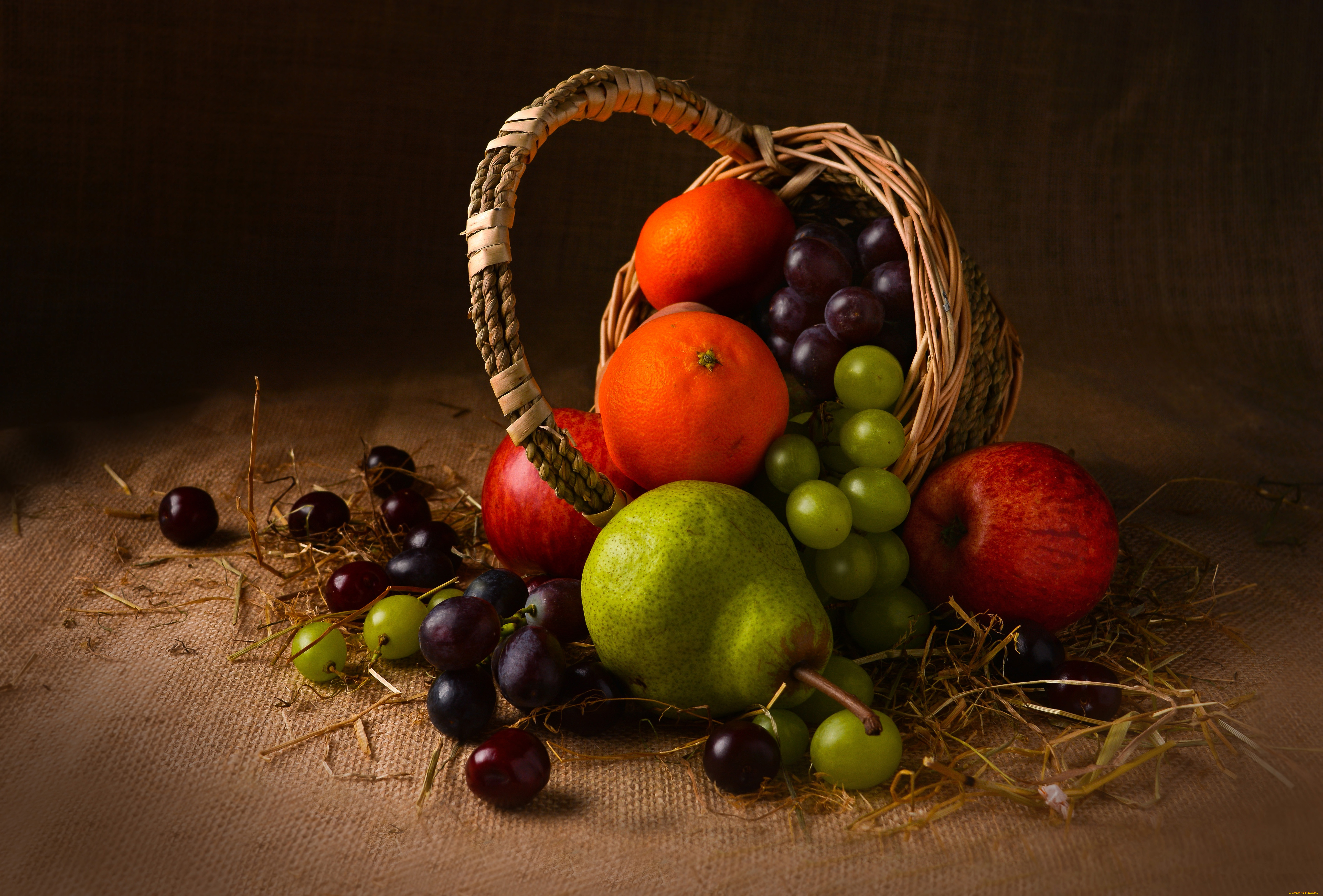 ���, ������,  �����, ���������